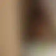 Dwdss