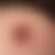 Piter5dddd