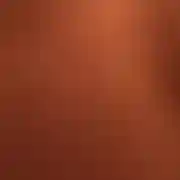 Sneakstopy
