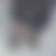Camilatrans76