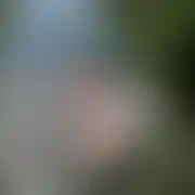Mircio04