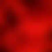 Datezonki69