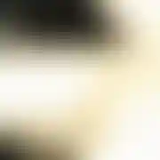 Pawlito15
