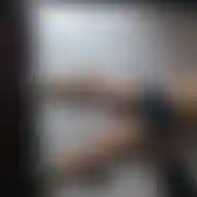Snipe