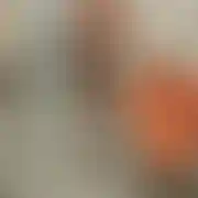 Diego233