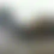 Szymonszymus