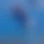 Thoomass