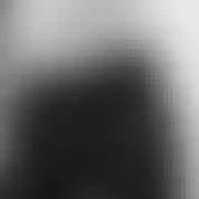 Bartib