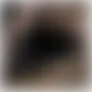 Ariec