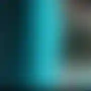 Stecu88