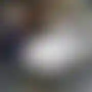 Spangebob83