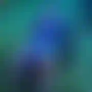 Lukasxx11