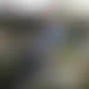 Radeeeek