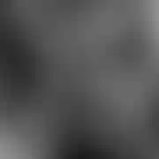 Voyas