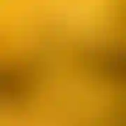 Alex0123