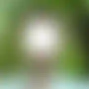 Mariusz43