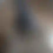 TSKralolinaPantera