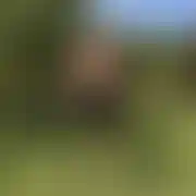 Dave93