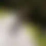 PracaDE - mann, 37 Jahre, Getynga