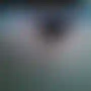 OnvsOna