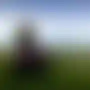 Dobrzeustawiony25