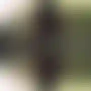 Adelivileda - paar (frau 41 Jahre, mann 41 Jahre), Poznań