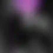 XstylingX