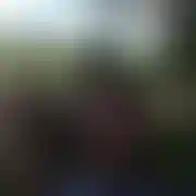 Romero81