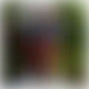 Denismax