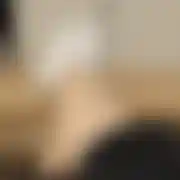 Uleglymisio98
