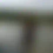 Daftcount