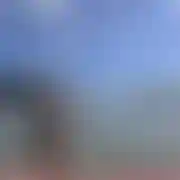 Tentyphub