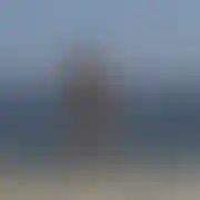 Otwarteglowy