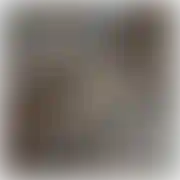 XxXxtrwXxX