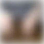 Mariuszmariusz141