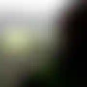 Dyzma28