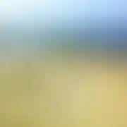 Ania777777777