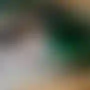 Krzych97