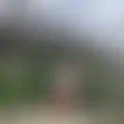 Tomaszpoznampania
