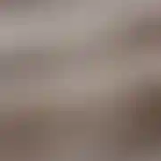 Danielneo