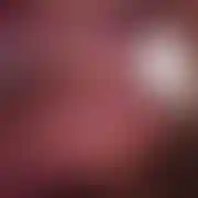 Danielneo