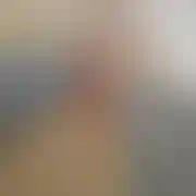 Sexplorer