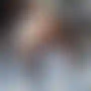 Sexipara7878