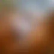 Wawacuck