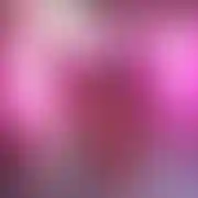 Artpol80