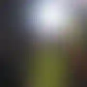 Priv