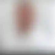 Nikodem12345678