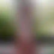 XxxlMen