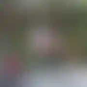 Xxxhulkxxx