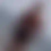 HokusPokus123